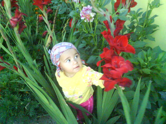 DSC00621