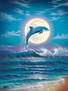 Dolphin