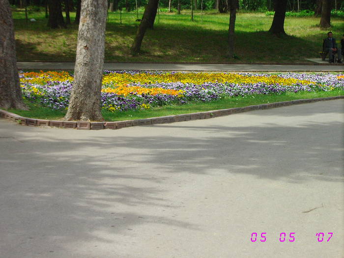  - Parcul Romanescu Craiova