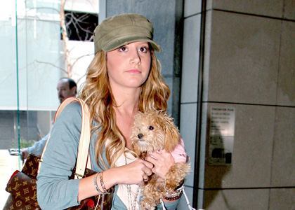 ashley-tisdale-blondie-meeting.0.0.0x0.420x300