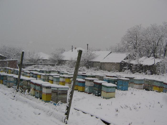 in zona noastra ninge mai rar