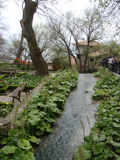 282 - Balchik 20 aprilie 2009