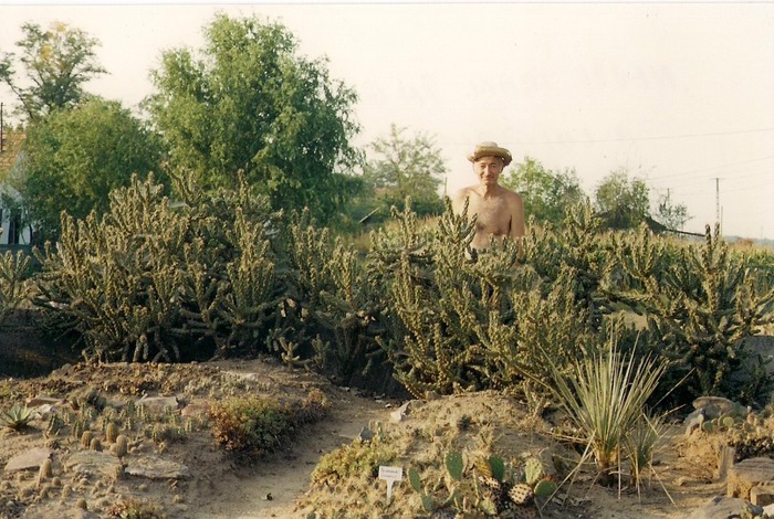 scan0010