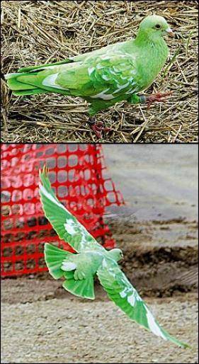 CNHQTKQMBLYVUOUHFEJ[1]