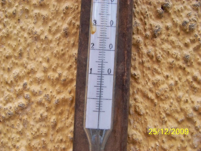 100_7885 - Sfarsit de decembrie 2009