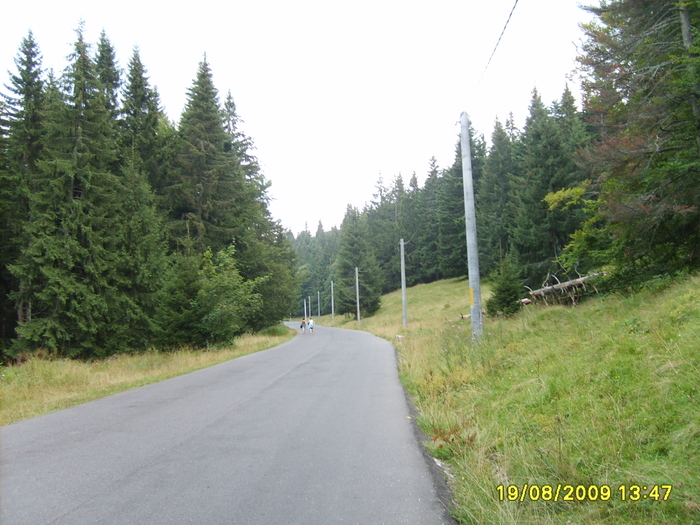 S5002611 - Sinaia 23 08 2009