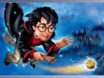 dfv - Harry Potter