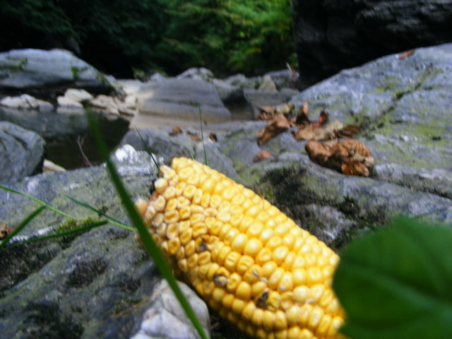 DSCF5070