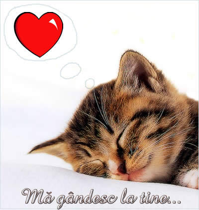 mare492 - bebelasi si altele