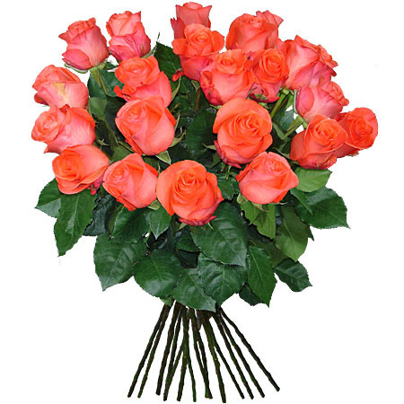 BotteWu.450_ProdId_508