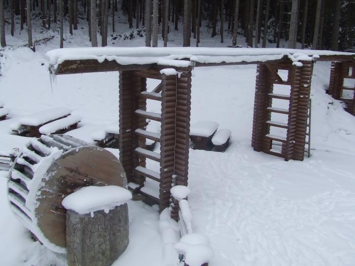 DSCF4748 - poiana zinelor