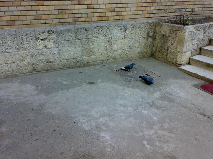 160220091797 - 18a Constanta 1