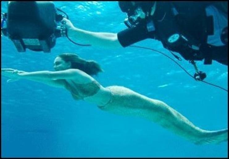 4522378591a5392349704l