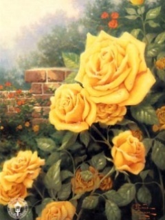 Yellow_Roses