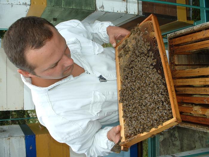 DSCF0026 - Albine si pentru albine
