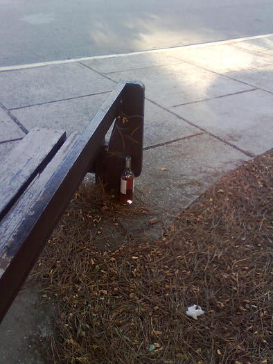 sticla misteriosa-zabovit 72 h - ApiMondia