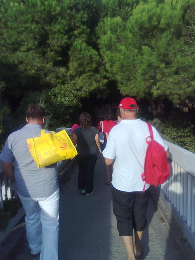 podul suspinelor - ApiMondia