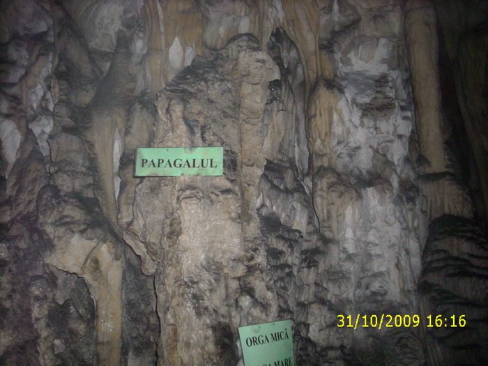 Pestera Polovragi