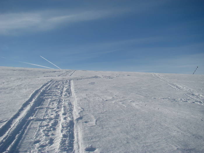 DSC01171 - Bucegi - Valea Izvorul Dorului-Padina