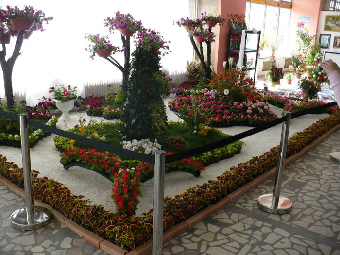 P1020511