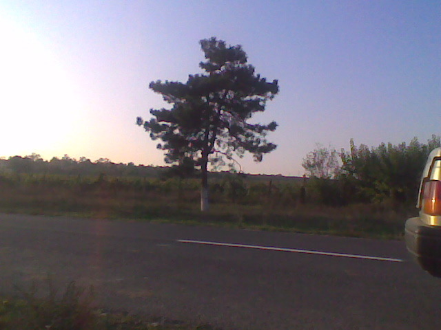 Imag015