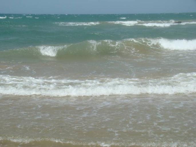 DSC05433