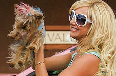 Ashley Tisdale