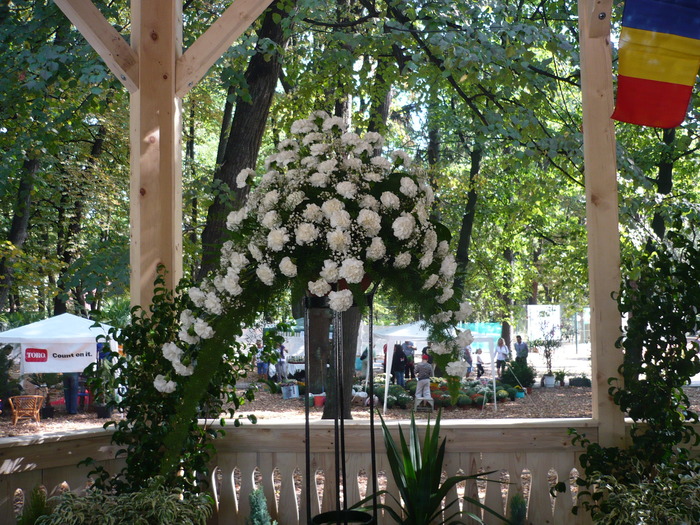 29-09-2009 051 - Expo-Flora 2009 Baia Mare