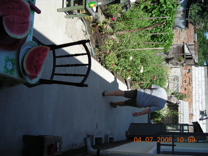 DSCN7286