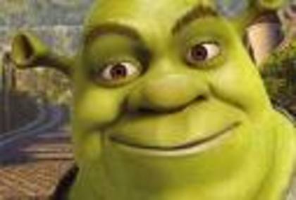 zxzx - poze shrek