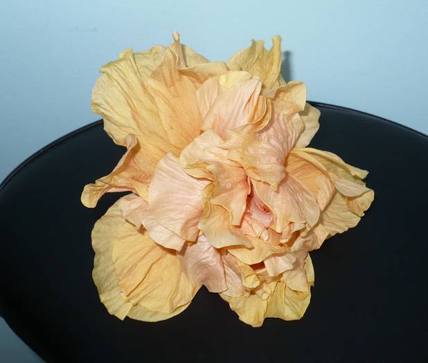 P1120407