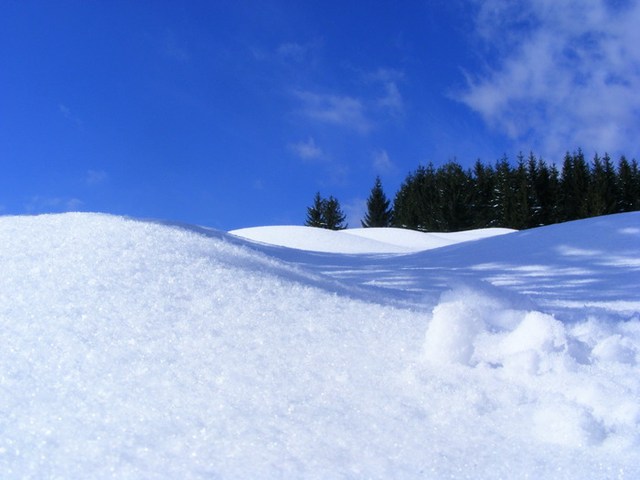 DSCF6923