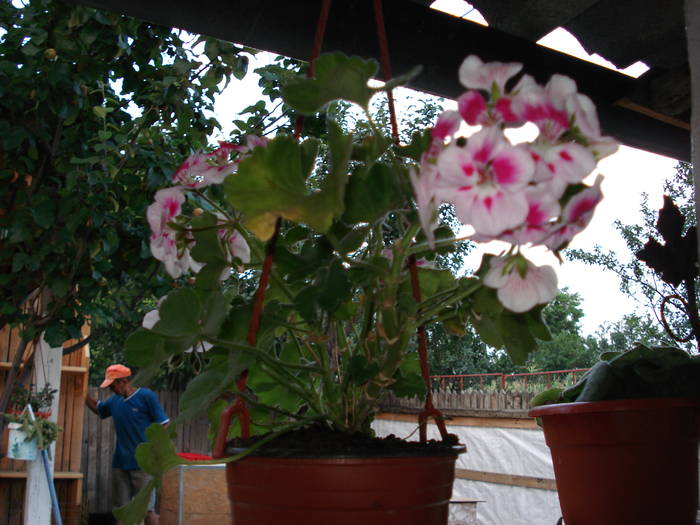 DSC09557