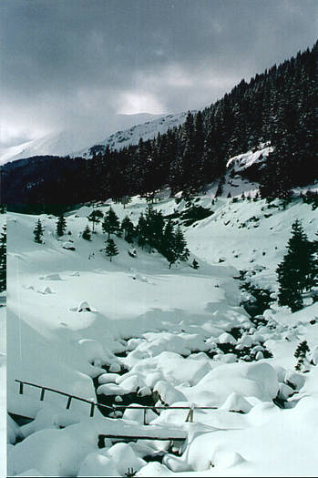 Valea Capra (Fagaras) - Peisaje superbe