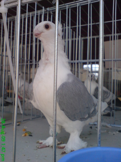 DSC05189