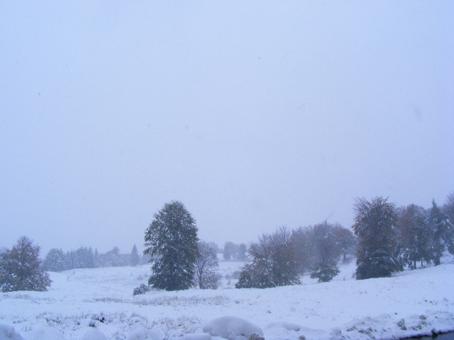 DSCF7307 - ninge in Maramu