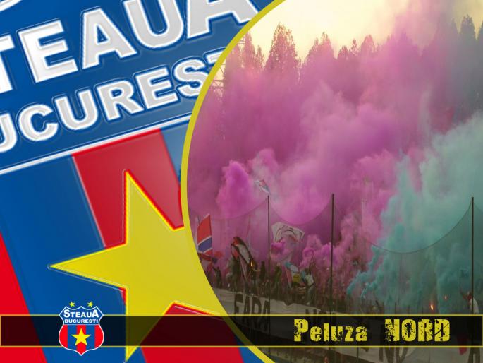 PeluzaNORD - steaua