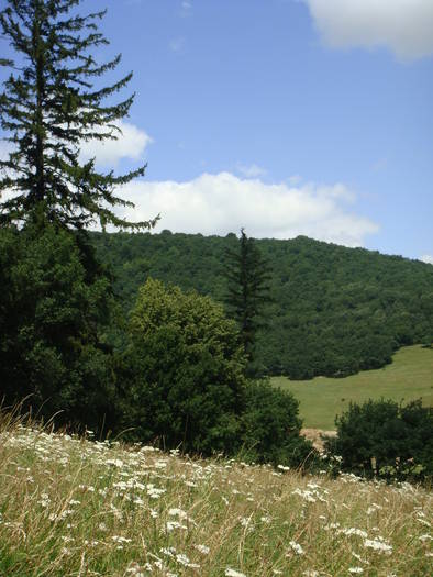224 - vacanta 23  28 iulie 2009