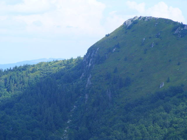 DSCF4444 - 2 august 2009 Traseu Suior Secatura Creasta Cocosului Gutaiul Doamnei  Vf Gutai