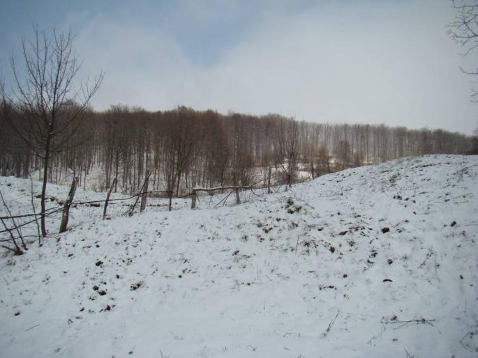 DSC02247 - 2008-02-11 - La Pucioasa-Targoviste-Fieni