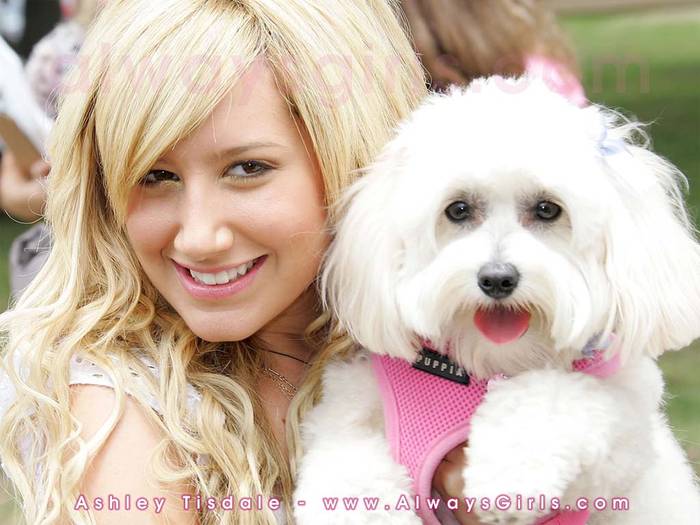 ashley_tisdale04 - Album pentru rikki1999