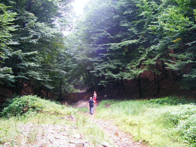 DSCF4891 - Firiza_Maramures