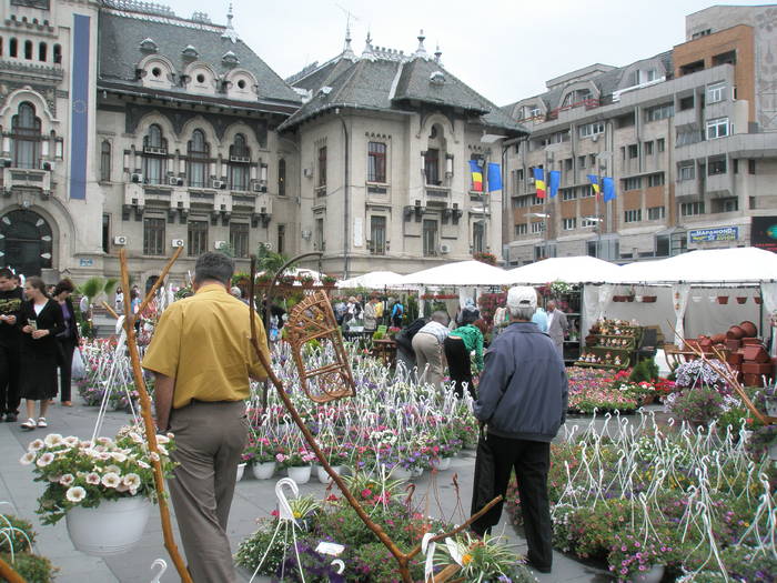 P6010051 - Craiova - 01 iunie 2009