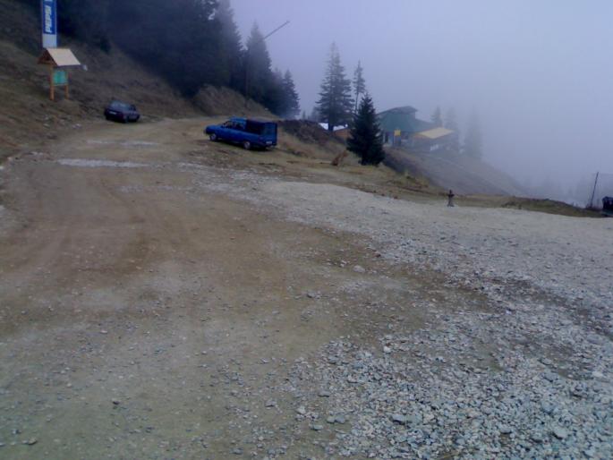 05122006109; aici ar trebui sa fie o leoaica la cota 1400 sinaia- e langa brad 
