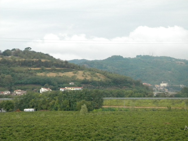 DSCN0490