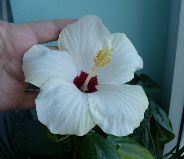 P1110382