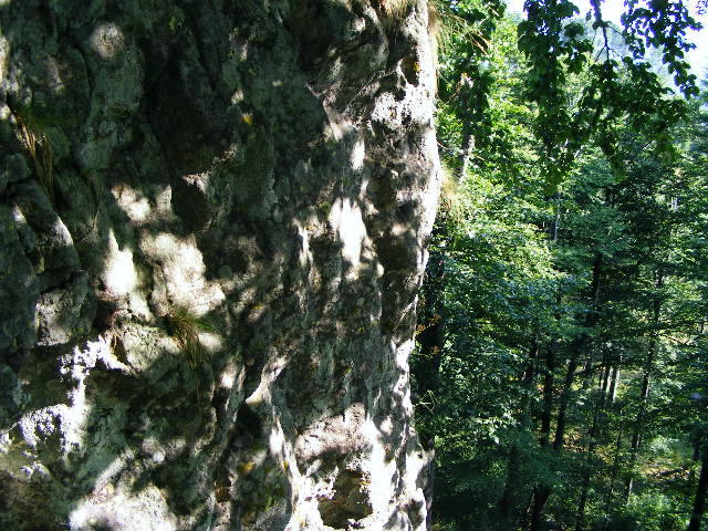 DSCF4502