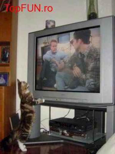 FKLXTGTQTUSGNYFOAEP[1]