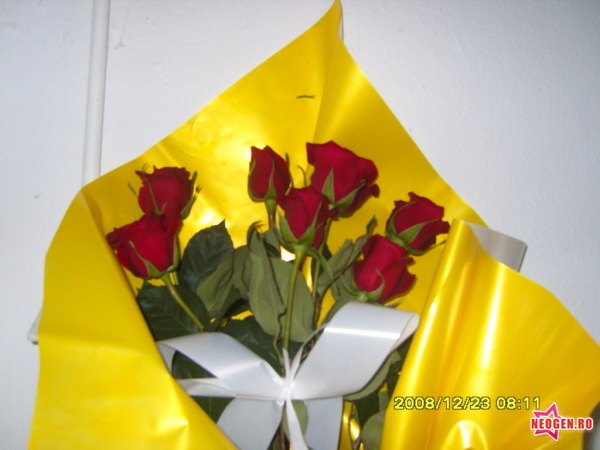 63280d71_0020000578105_00_600