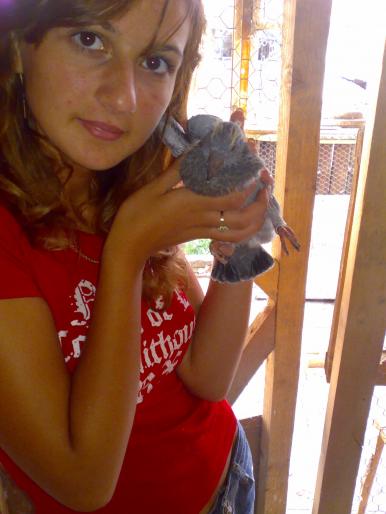 ajutorul meu cu un pui